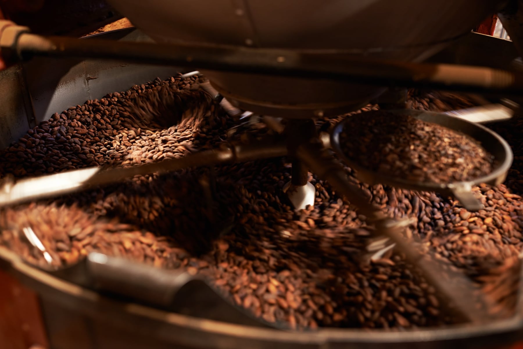 Stéphane Bonnat, maître chocolatier. — photographie