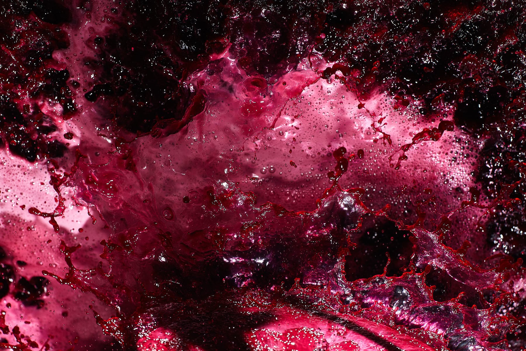 Alexandre Avatangelos, viticulteur encaveur. — photographie
